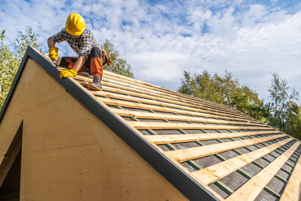 Best Roof Gutter Cleaning  in Toast, NC